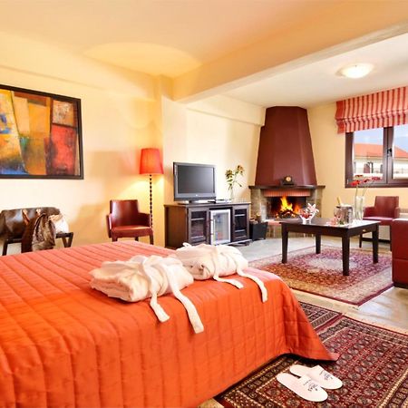 Kaimak Mountain Lodge Panagitsa Ngoại thất bức ảnh